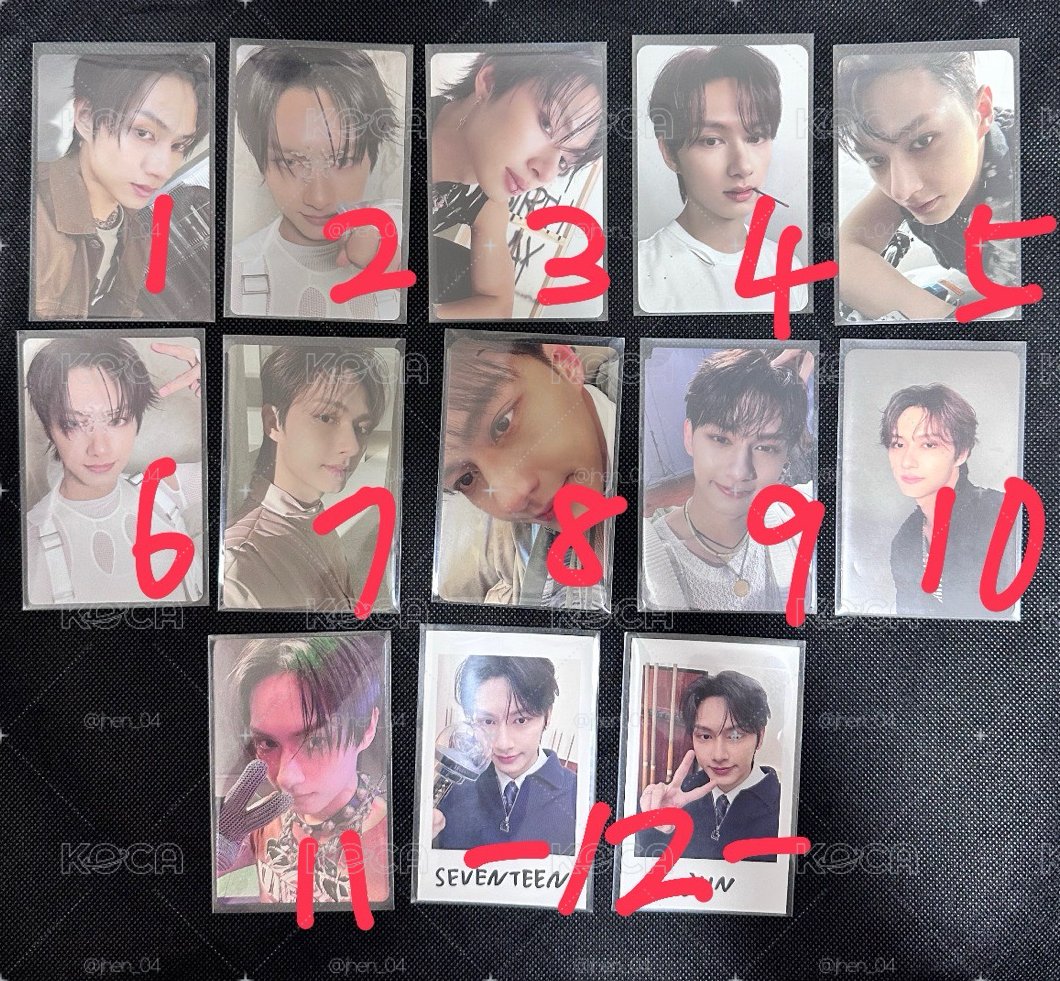 SVT 俊小盤