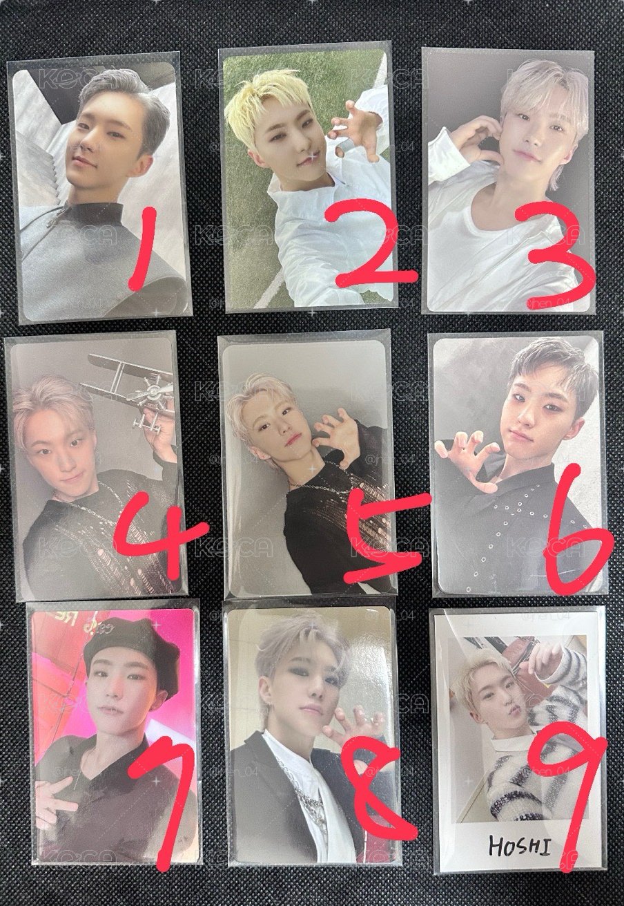 SVT 榮小盤