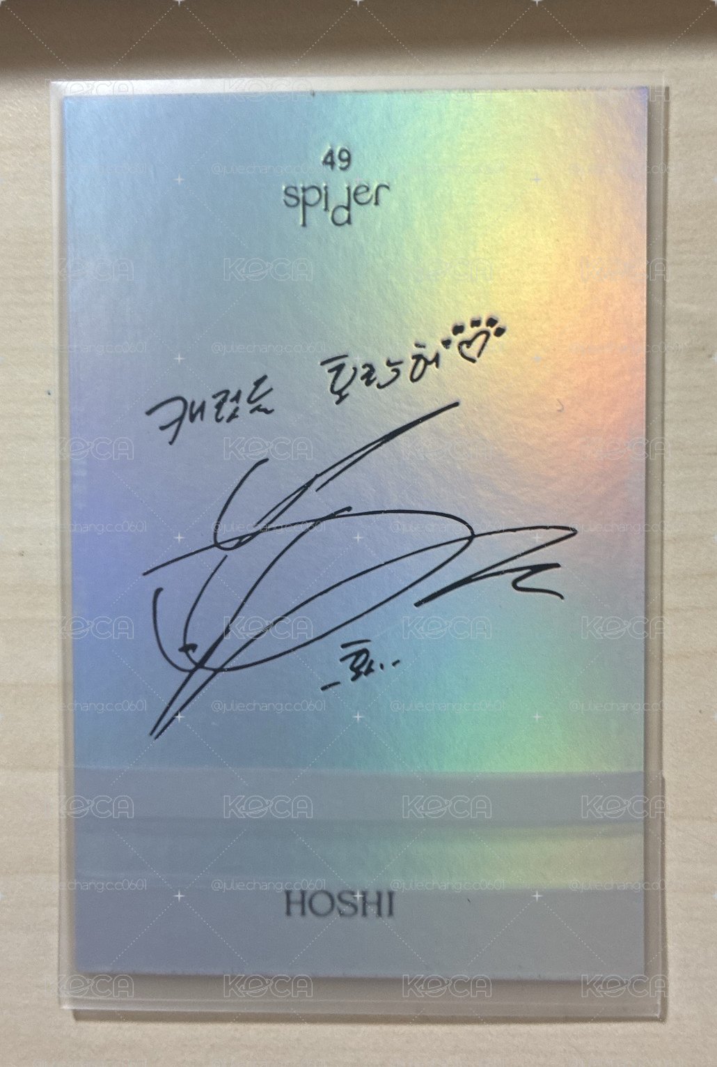 Hoshi spider49