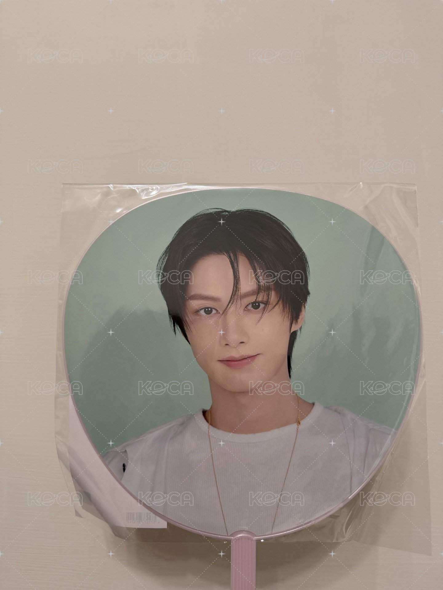 俊 大扇