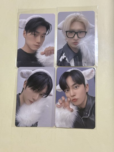 🪜MS5.0 綿羊ver. 單人+中榮 尚鍾雙人