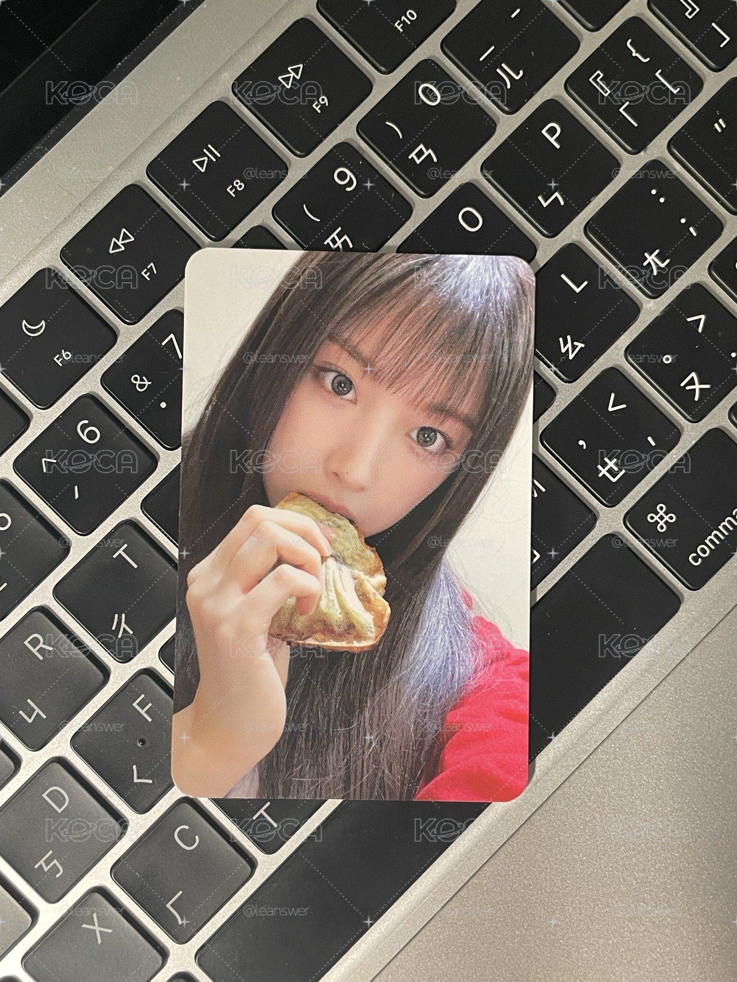 💙雕魚燒友