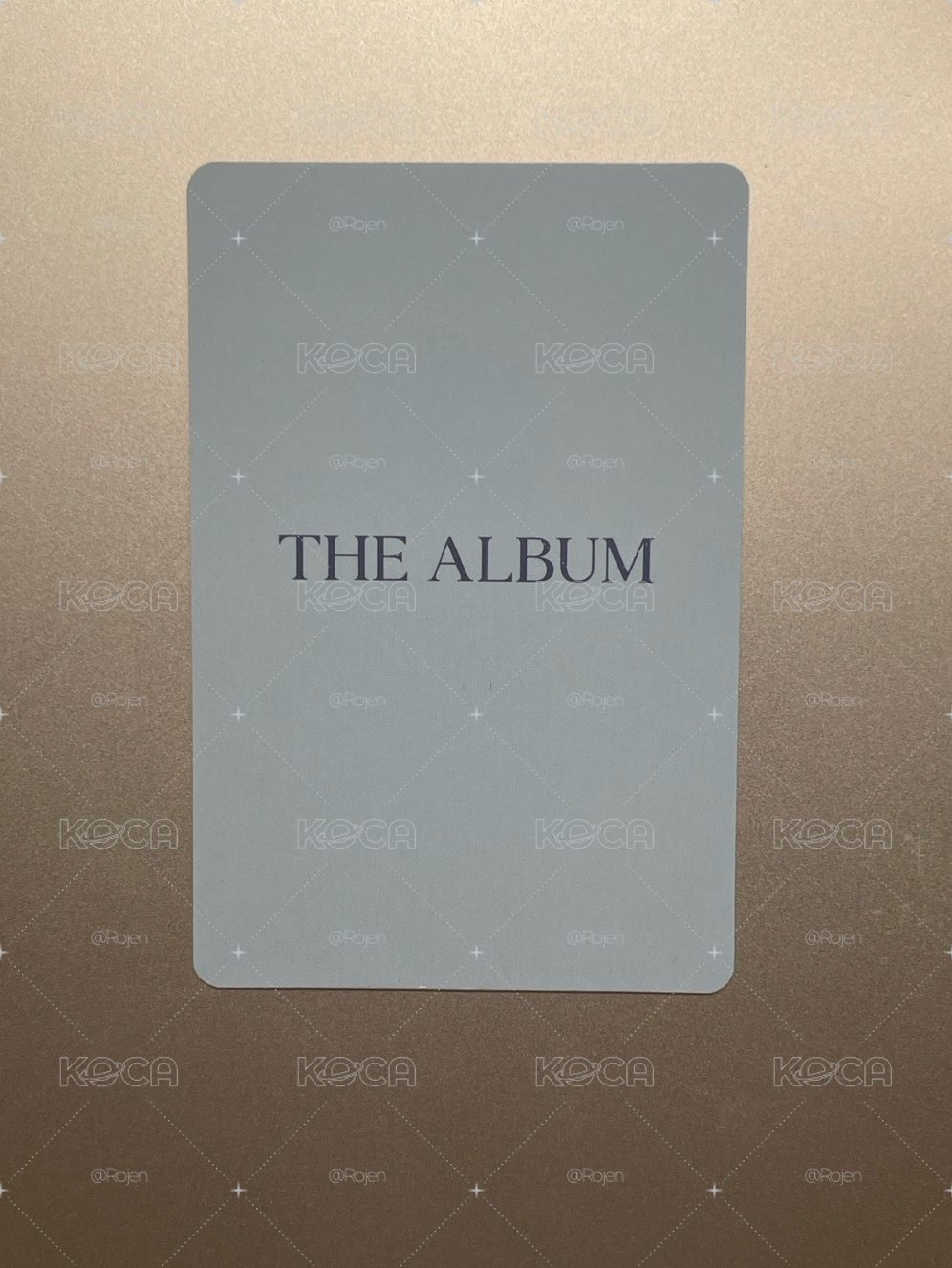 The Album 塔店妮