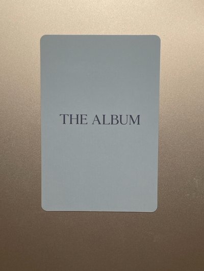 The Album 塔店妮
