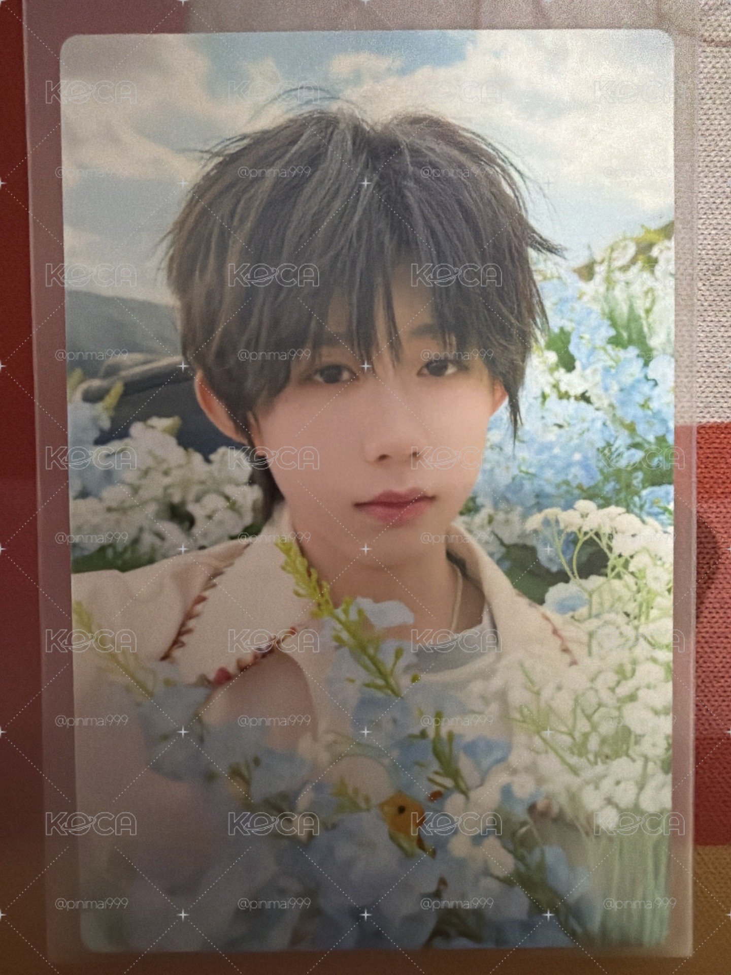 陳奕恆小行囊拿花小卡
