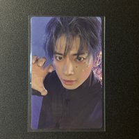 貓抓顯