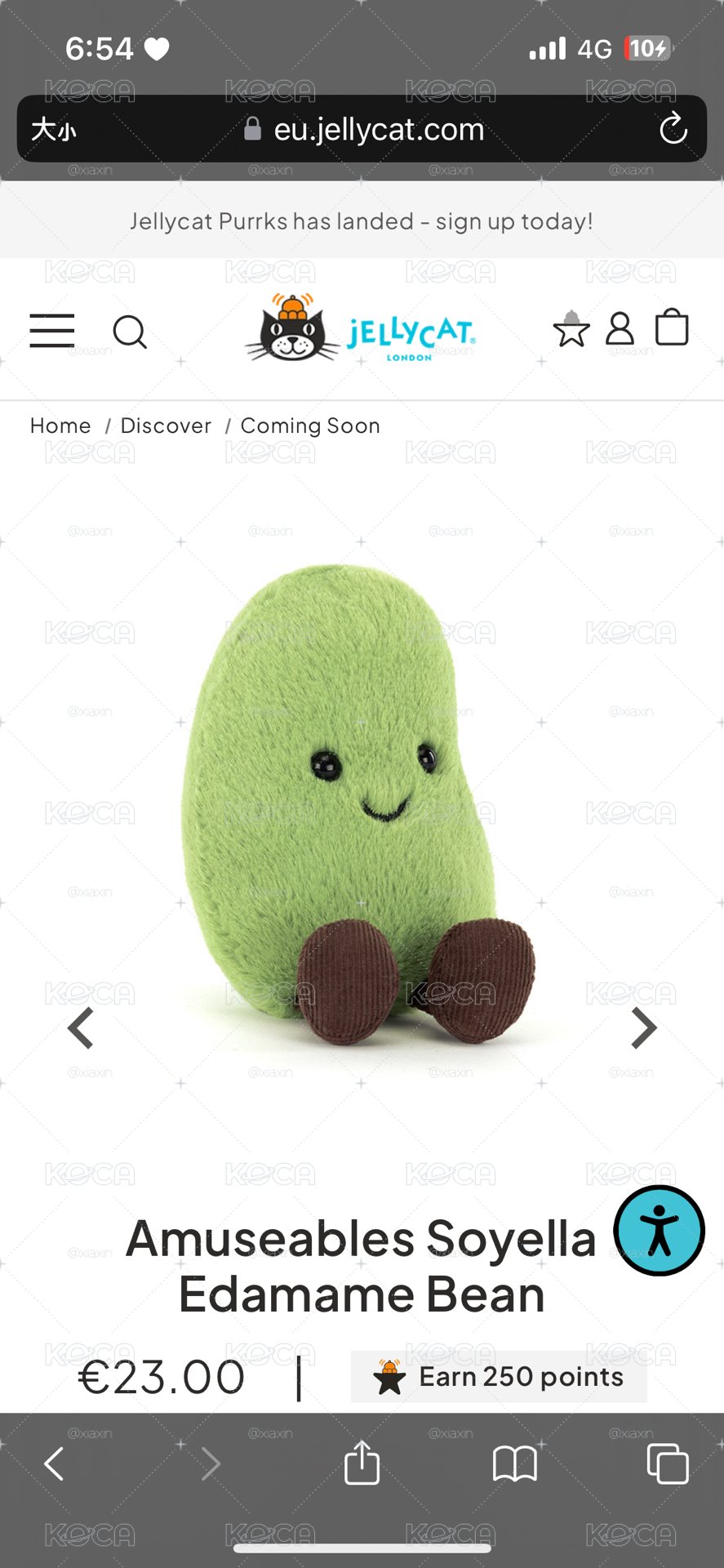 🤍預購 毛豆