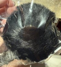 毛球黑