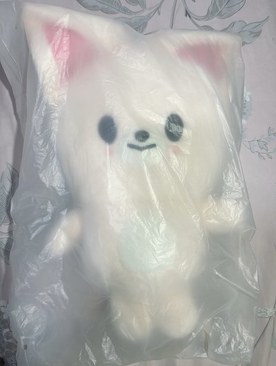 飯咪寅後背 含卡
