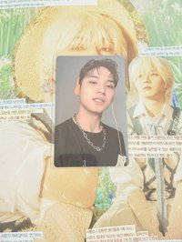 wvs橘耳機奎