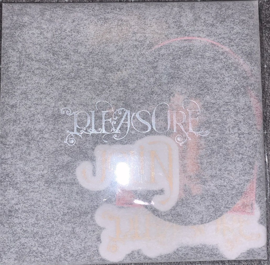 Pleasure 演唱會周邊 D•I•Y貼紙包