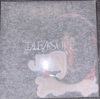 Pleasure 演唱會周邊 D•I•Y貼紙包