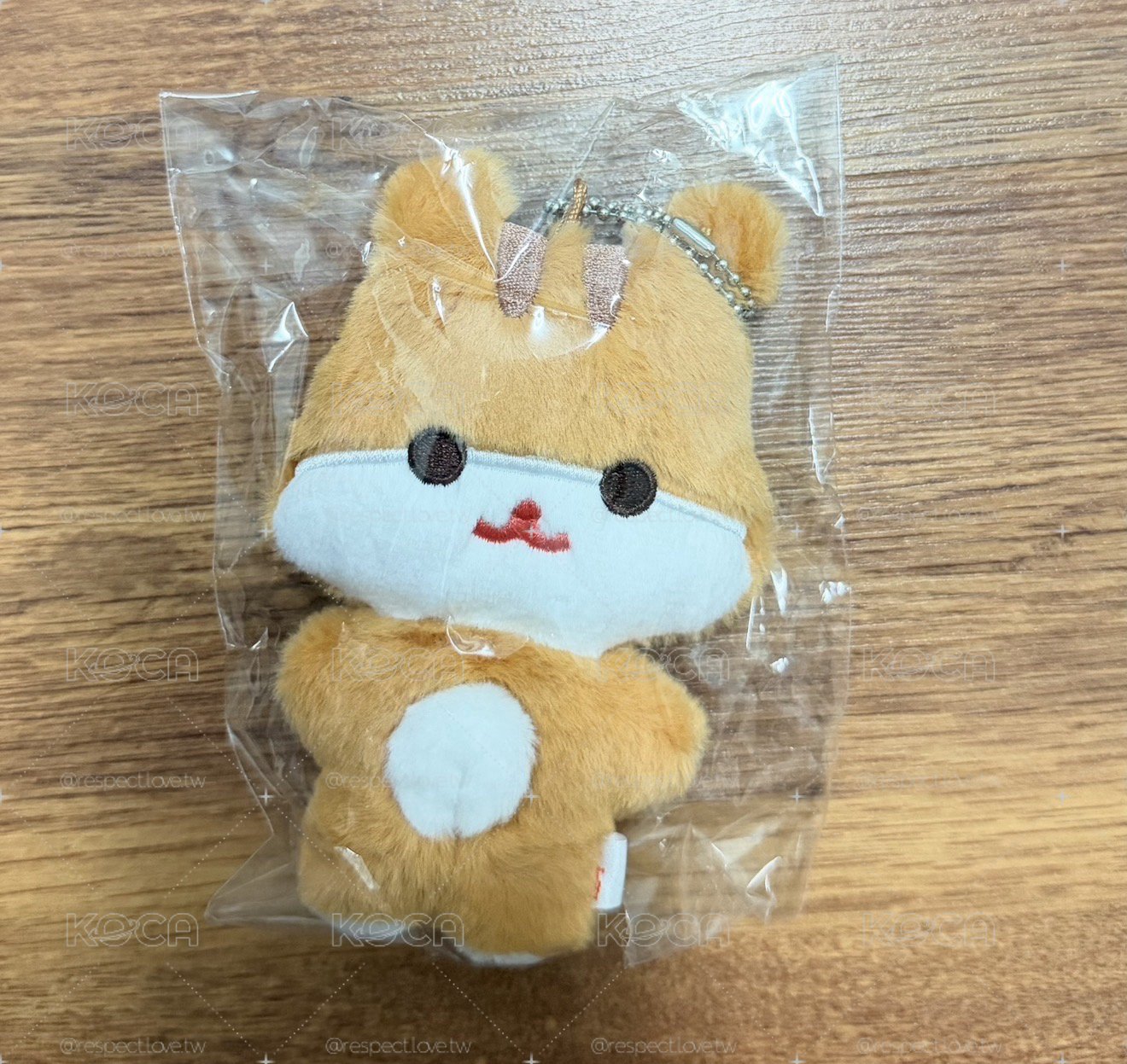 Aniteez豆豆眼+檸檬掉專卡 中