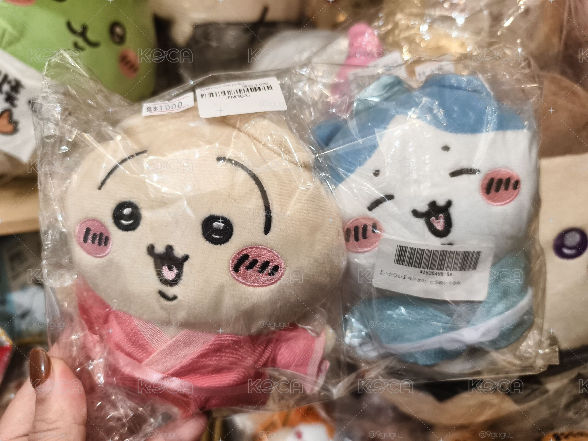 牛郎織女一對