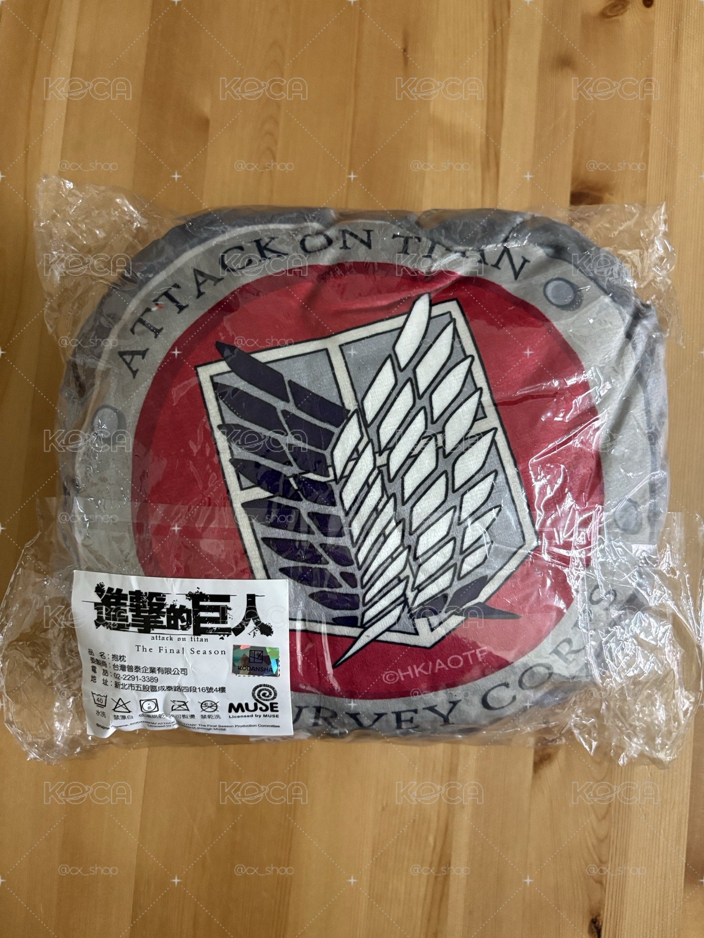 進擊的巨人艾連Q版造型抱枕