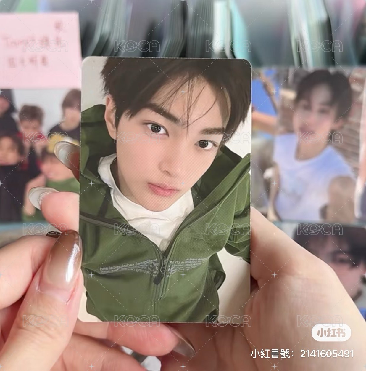 白月光安安