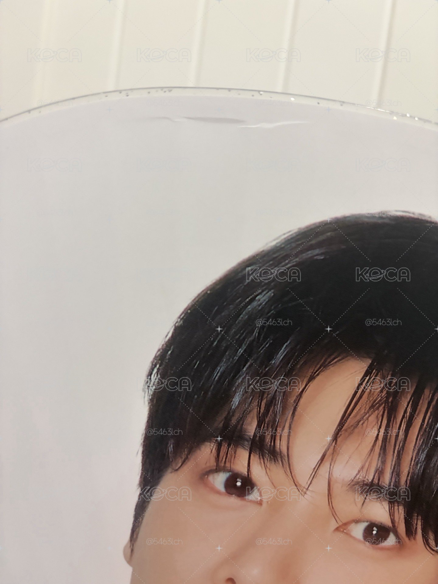 日巡阿顯大扇