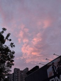 科科科