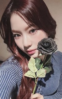 S ms 預售 特典卡 黑玫瑰