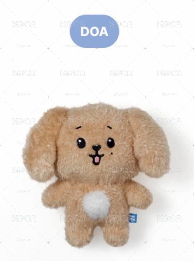 李Doa 