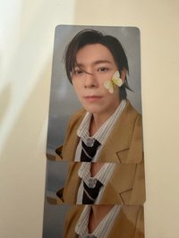 蝴蝶