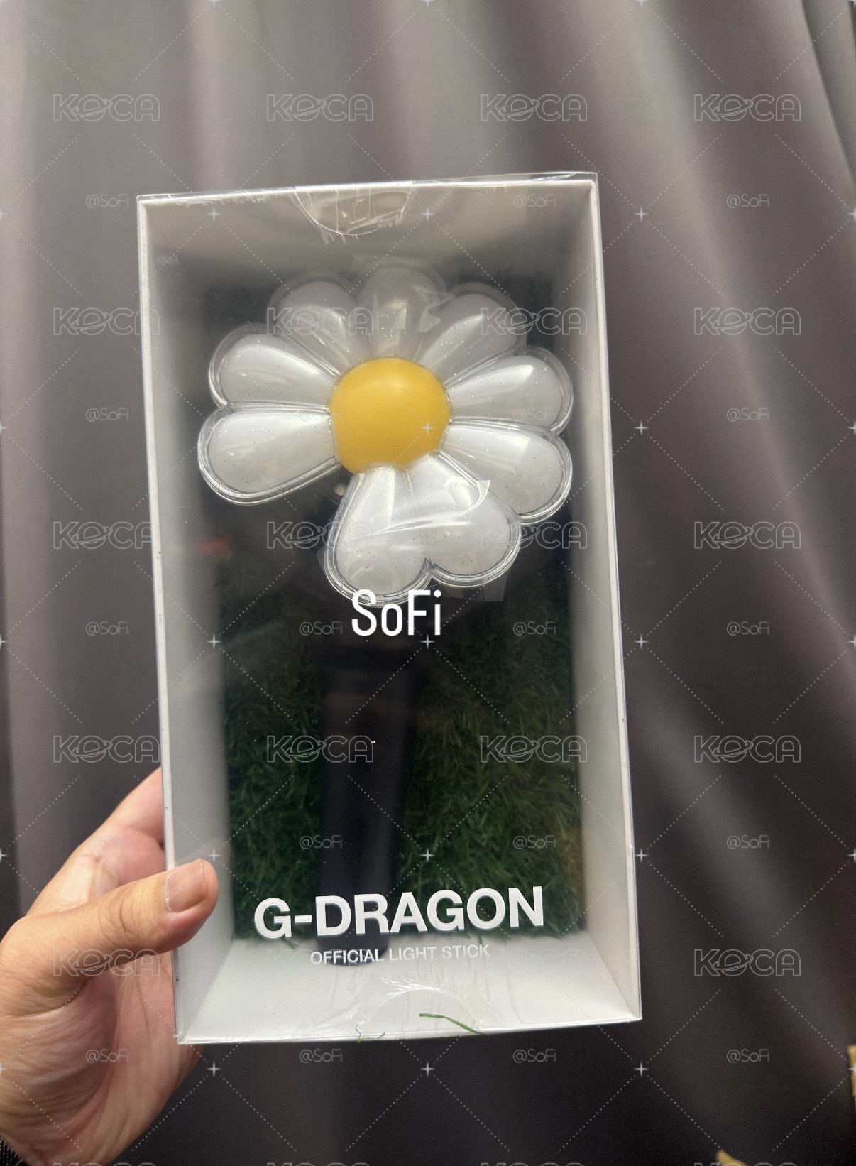 官方手燈 應援手燈 DAY-G 雛菊手燈