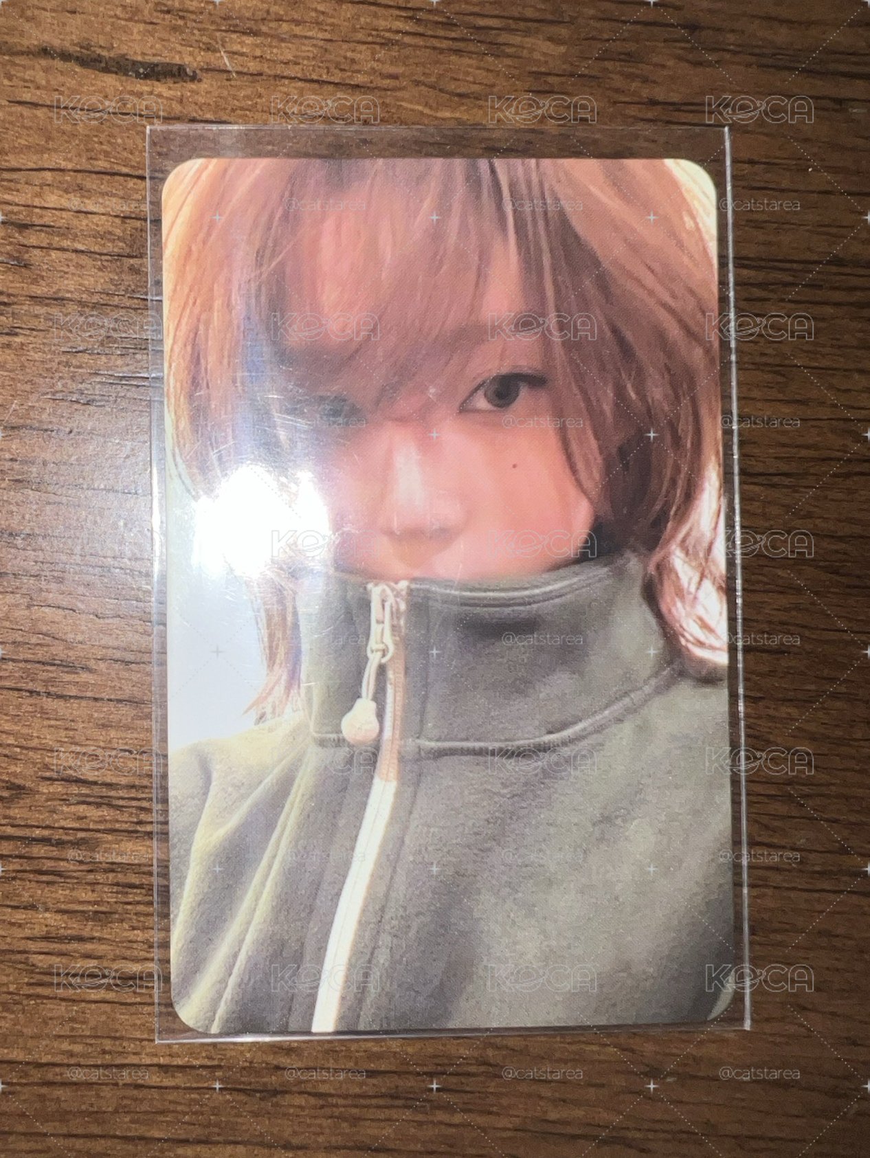 紫版冬