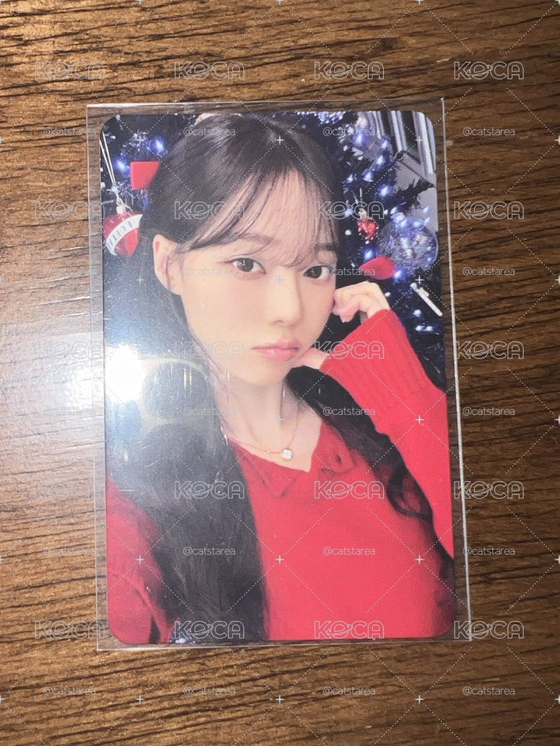 紅衣冬