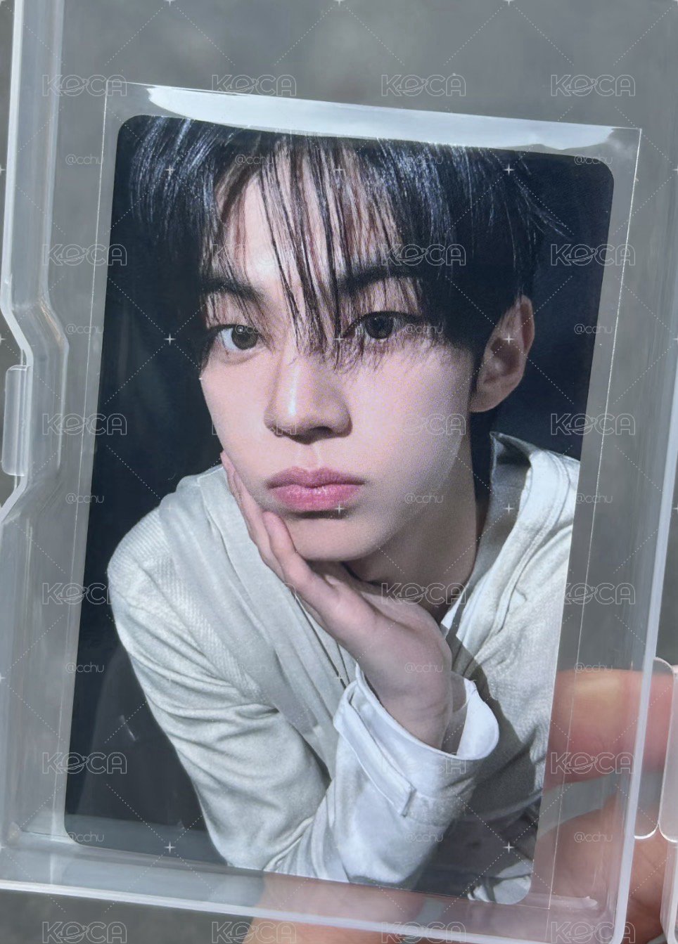 捧臉小狗🐶