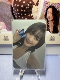 迷八-蝴蝶-特典