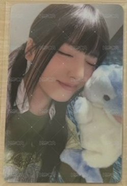 海豚友