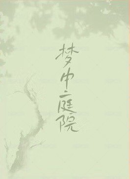 2024新年 夢中庭園 拍立得  背面