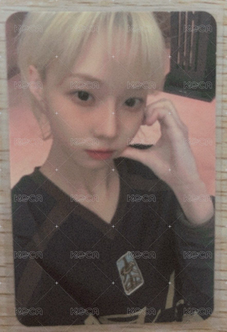 正規一簽售冬