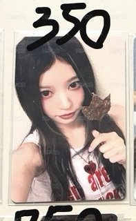 NOT CUTE ANYMORE yzy 特典卡 楓葉ver.