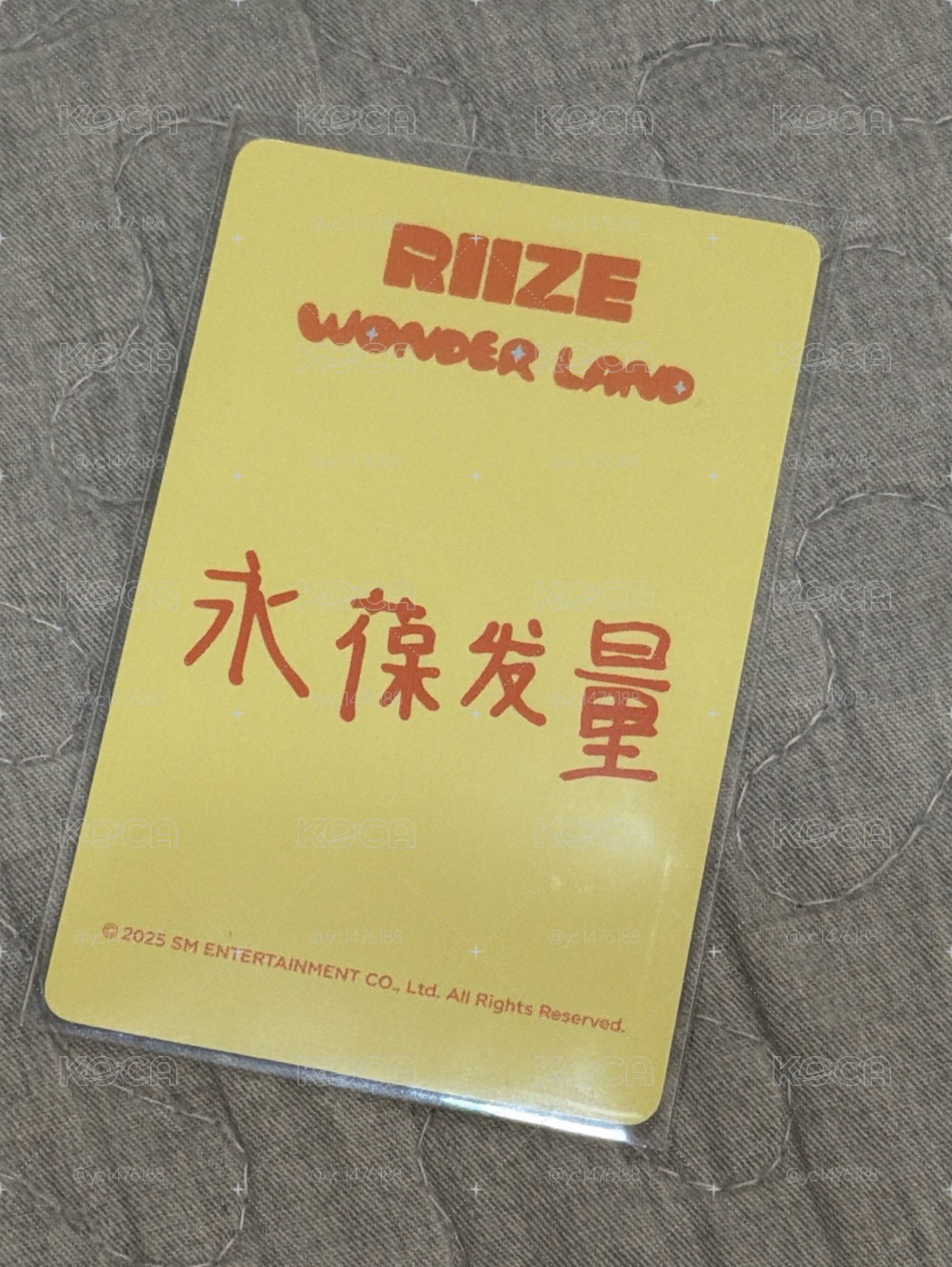 永葆髮量