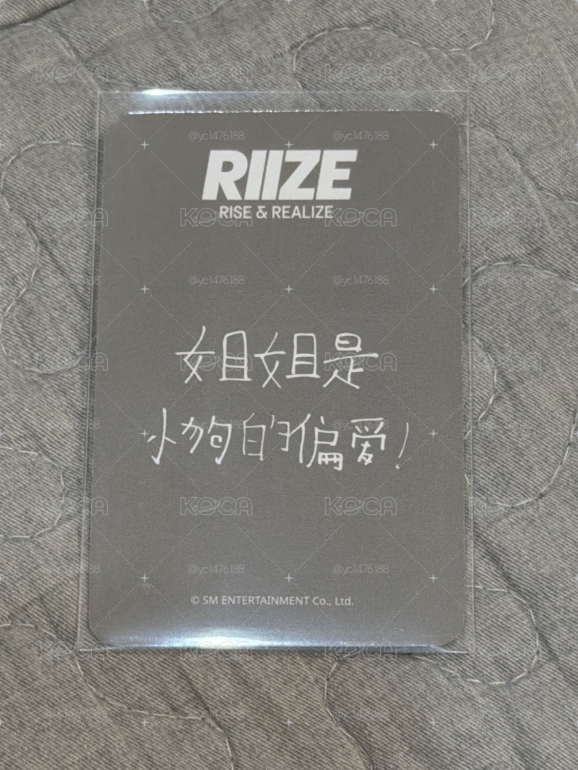 姐姐是小狗的偏愛