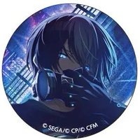細閃 vol.22 B 徽章 電玩花後