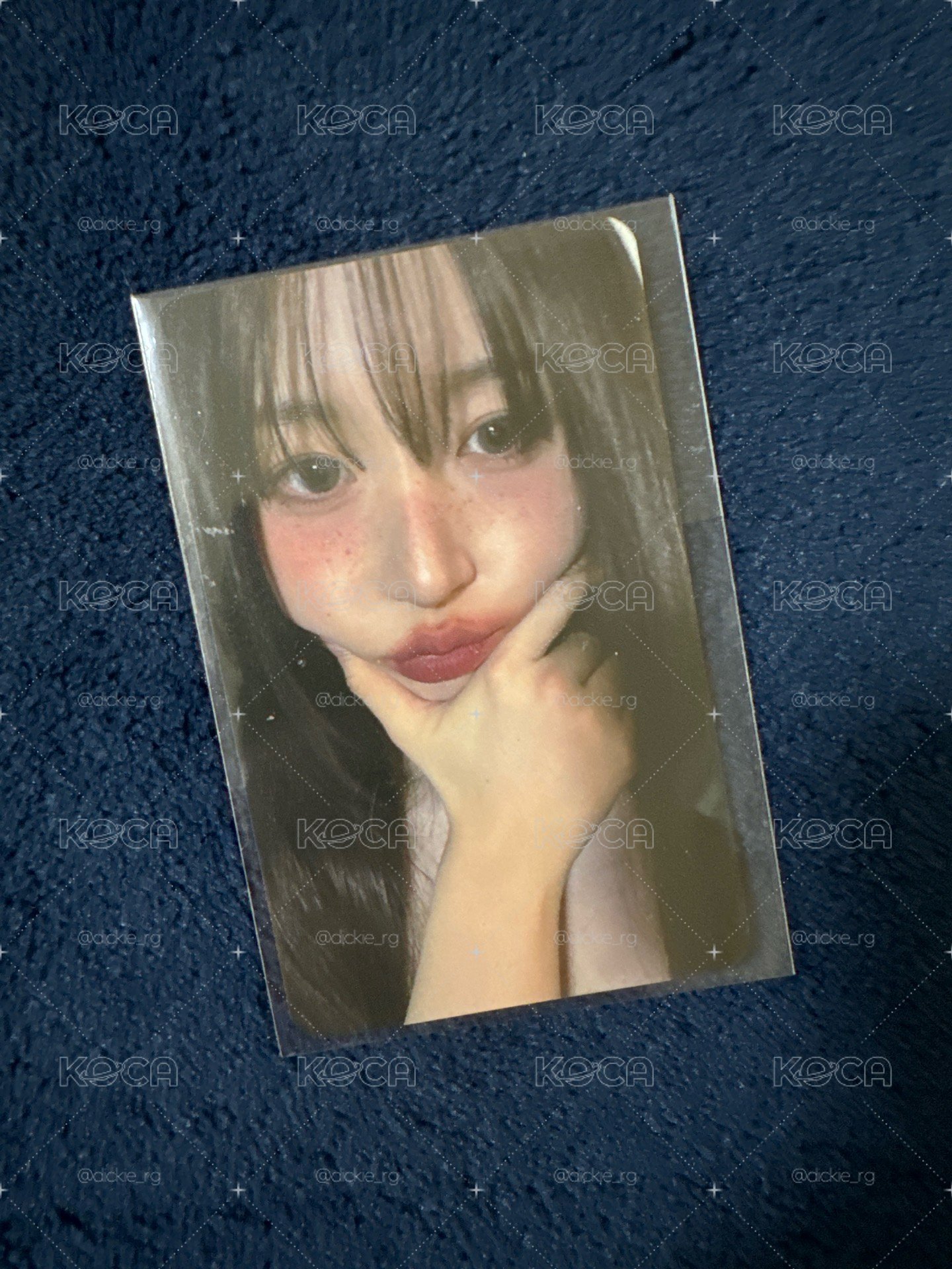 fans預售嫄