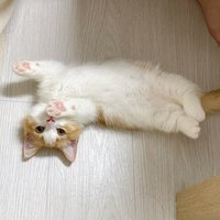 慕汐