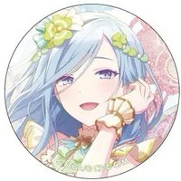 細閃 vol.24 C 徽章 dp花後