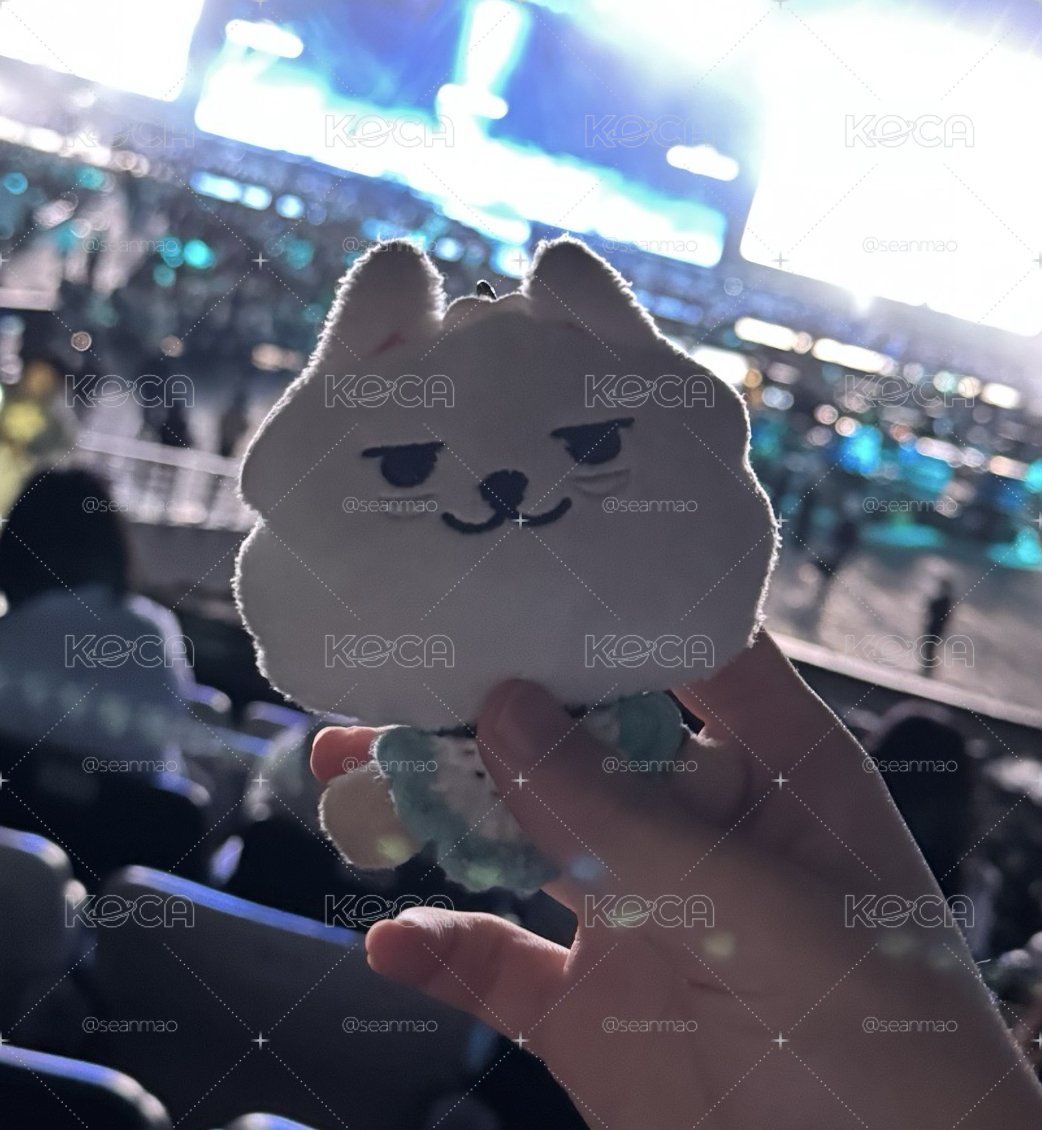 二手原皮猛