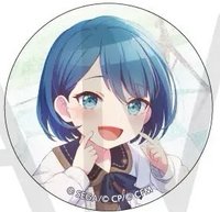 細閃 vol.27 A 徽章 空姐花前