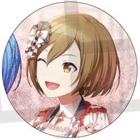 細閃 vol.27 A 徽章 空姐花前