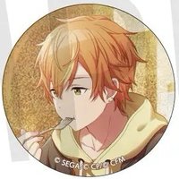 細閃 vol.27 B 徽章 羊羔花前