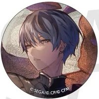 細閃 vol.28 C 徽章 白情花後