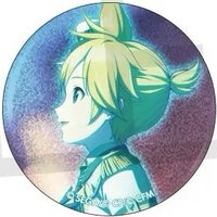 細閃 vol.29 C 徽章 寶石花前