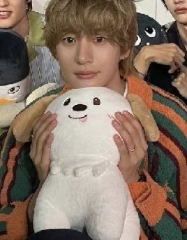 RIIZE 40CM 大娃 ANTON