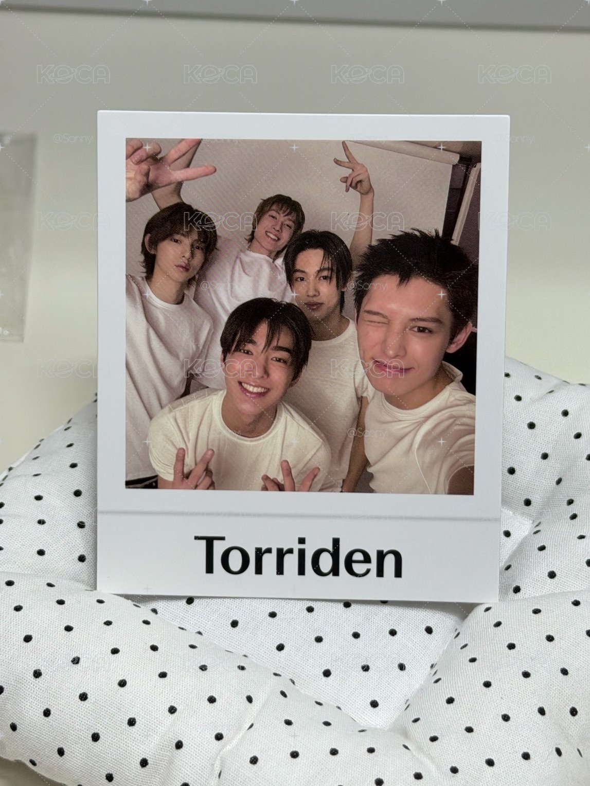 Torriden代言卡