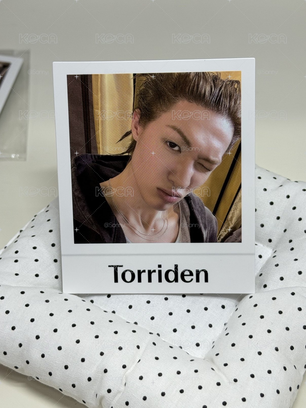 Torriden代言卡