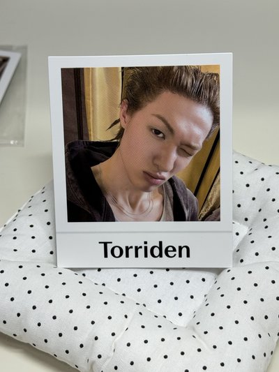 Torriden代言卡